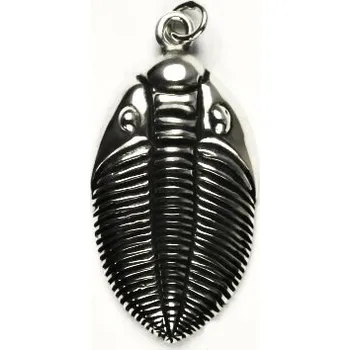 Přívěsek Stříbrný přívěsek trilobit - P218 (Stříbrný trilobit přívěsek)