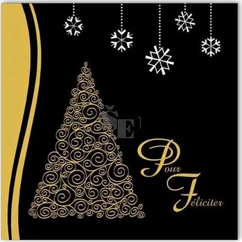 PF Blahopřání vánoční novoroční s textem V24-247 W