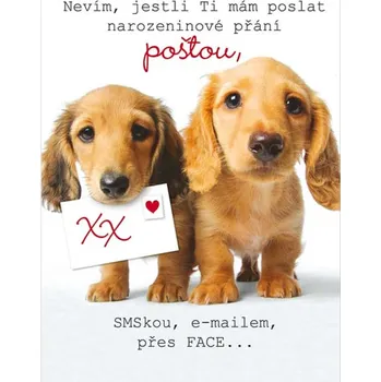 DITIPO Hrací přání Nevím, jestli ti mám poslat narozeninové přání Lucie Vondráčková Kdo tě má rád 224 x 157 mm DITIPO Hrací přání Nevím, jestli ti mám poslat narozeninové přání Lucie Vondráčková Kdo tě má rád 224 x 157 mm