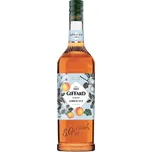 Giffard Apricot 1 l