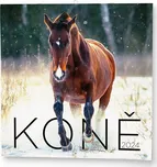 Baloušek Tisk Nástěnný kalendář Koně…