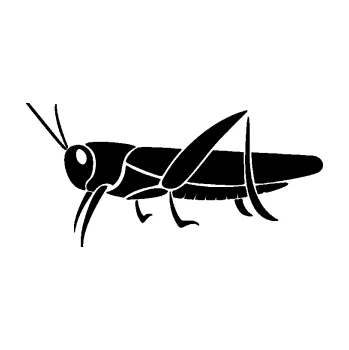 Samolepící dekorace SAMOLEPKA Kobylka 002 levá (01 - černá) NA AUTO, NÁLEPKA, FÓLIE, POLEP, TUNING, VLASTNÍ TEXT, TISK, AUTOSAMOLEPKY.cz, POLEPY, OBRÁZEK, LOGO, SAMOLEPKY