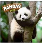 Presco Group Poznámkový kalendář Pandy…