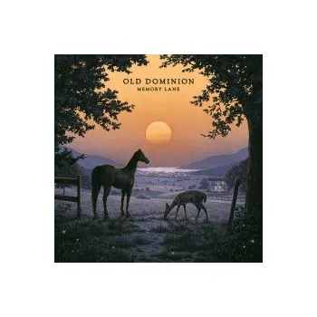 Zahraniční hudba Memory Lane - Old Dominion [CD]