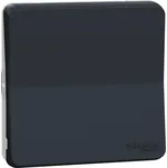 Schneider Electric MUR37021 Mureva Styl - Přepínač střídavý ř.6, IP55, Antracit