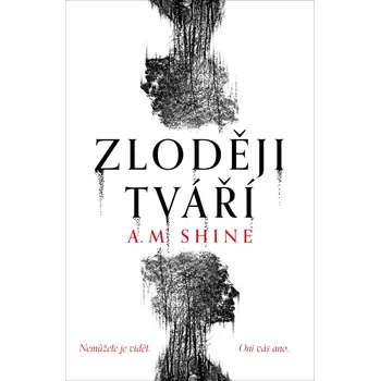 Beletrie pro dospělé Zloději tváří - A. M. Shine
