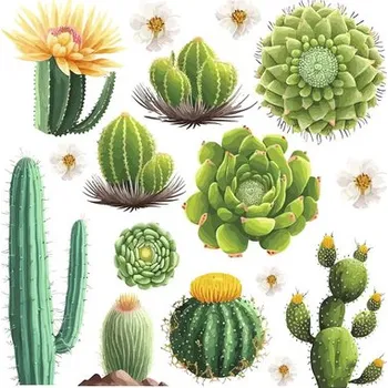 Samolepící dekorace Samolepka na zeď Kaktus 31x31 cm