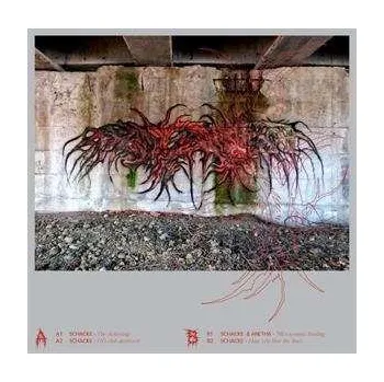 Zahraniční hudba LP Schacke: Looks Are Deceiving 2023