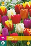 JUB Holland Tulipán Triumph Mix 25 ks