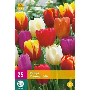 Cibulovina JUB Holland Tulipán Triumph Mix 25 ks