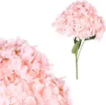 Autronic KN6149 4 ks světle růžová