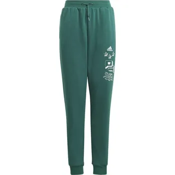 Adidas BLUV Q3 Pant Jr IA1553 176 cm