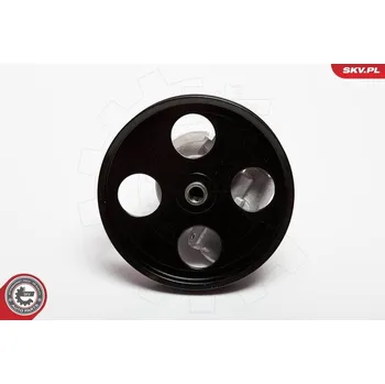 Posilovač řízení Hydraulické čerpadlo, řízení ESEN SKV 10SKV069