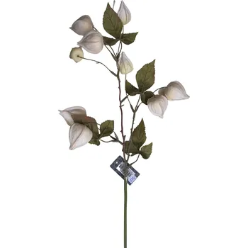 umělá květina Innovative Mochyně Physalis Lahja krémová větev 54cm, květinová dekorace