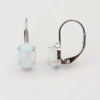 Náušnice Stříbrné náušnice s klasickým zapínáním