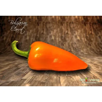 Semeno chilli-semena Bulgarian Carrot