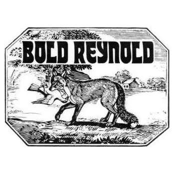 Zahraniční hudba CD David Carroll And Friends: Bold Reynold 2023