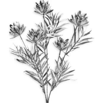 Vánoční dekorace Větev šišky stříbrné pvc 61 cm