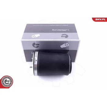 Vzduchová pružina, podvozek ESEN SKV 58SKV001