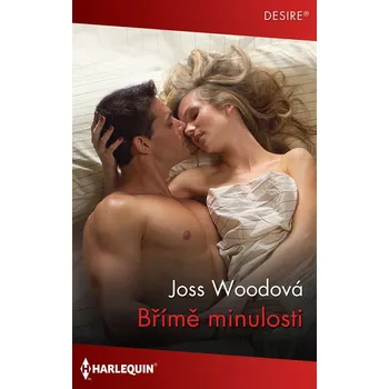 Kniha Břímě minulosti