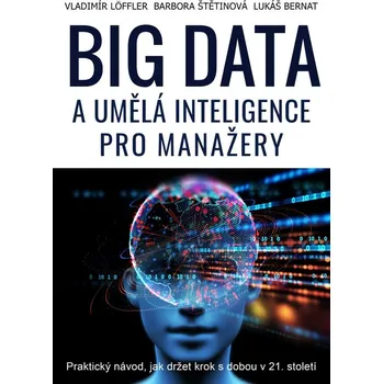 Kniha BIG DATA a umělá inteligence pro manažery