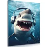 Dovido Obraz žralok se sluchátky