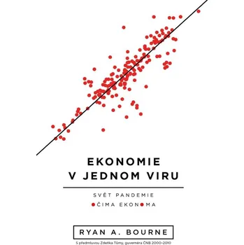 Kniha Ekonomie v jednom viru