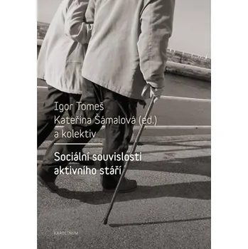 Kniha Sociální souvislosti aktivního stáří
