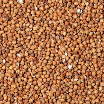 Krmivo pro ptáka Fauna Hradil Čirok červený - Milo 10 kg