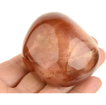 Přírodní kámen Hladký kámen zkamenělé dřevo (Madagaskar) 163g