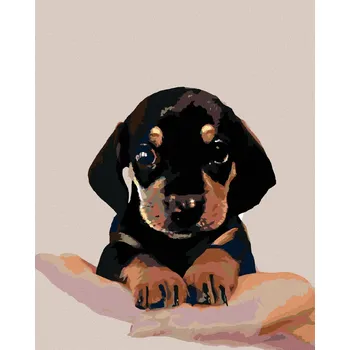 Dětské zboží Diamondi Diamantové malování - ŠTĚNĚ KRÁTKOSRSTÉHO JEZEVČÍKA Rozměr: 40x50 cm, Rámování: vypnuté plátno na rám