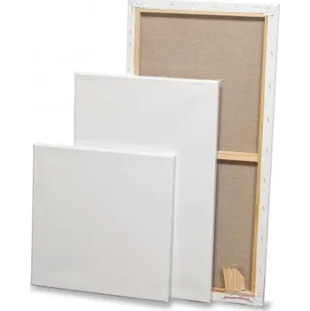 Malířské plátno Plátno bavlněné napnuté, 50x60 cm