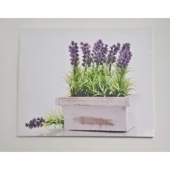 Obraz OBRAZ LEVANDULE