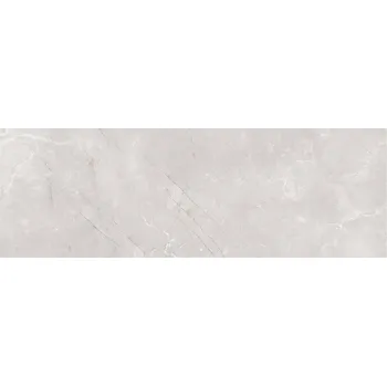 Braga grey - obkládačka rektifikovaná 25x75 šedá lesk 160716