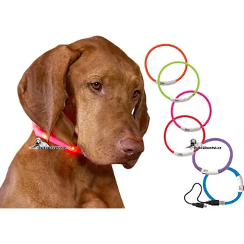Obojek pro psa Obojek světelný DOG FANTASY USB dobíjení, nylon 500m Růžový 45cm