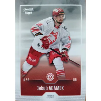 Sběratelská karetní hra Jakub Adámek