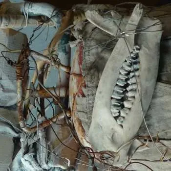 Zahraniční hudba LP Gas Chamber: Public Humiliation II LTD 2021 Limited Edition Vinyl