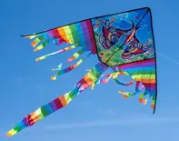 Létající drak Fandy Drak 120 cm mrak 01 motýl