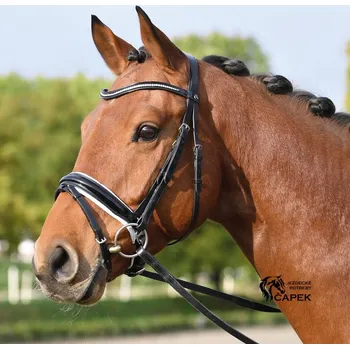 Uzdečka Busse -MASSA- - Černá - Cob