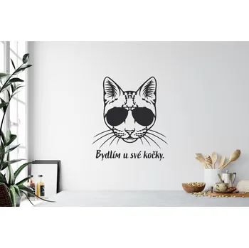 Samolepící dekorace Lepy.cz Samolepka na zeď Bydlím u své kočky Velikost (šířka x výška): 75x83cm, Barevná varianta: Světle zelená