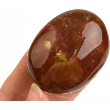 Přírodní kámen Kámen zkamenělé dřevo 109g