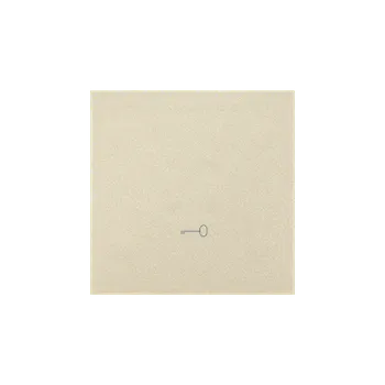 vypínač SIMON TKWK1/144 Kryt s piktogramem "klíč", 1 násobný, pro přístroje spínačů a tlačítek bílá