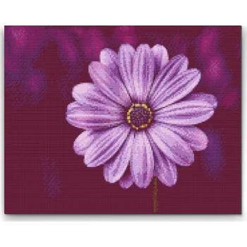 Diamantové malování Diamantové malování - Gerbera ve fialové barvě Velikost: 30x40cm, Rámování: Pouze srolované plátno, Diamanty: Kulaté