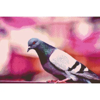 Diamantové malování Diamantové malování - Holub Velikost: 40x60cm, Rámování: Pouze srolované plátno, Diamanty: Kulaté