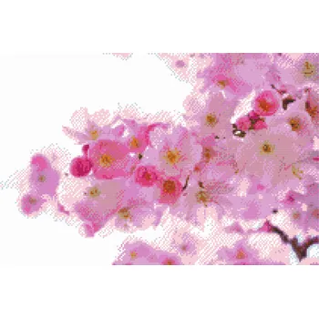 Diamantové malování Diamantové malování - Kvetoucí třešeň Velikost: 40x60cm, Rámování: Pouze srolované plátno, Diamanty: Čtvercové
