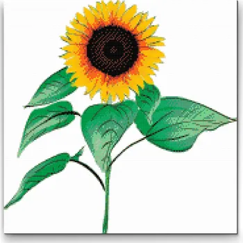 Diamantové malování Diamantové malování - Slunečnice 2 Velikost: 50x50cm, Rámování: Pouze srolované plátno, Diamanty: Čtvercové