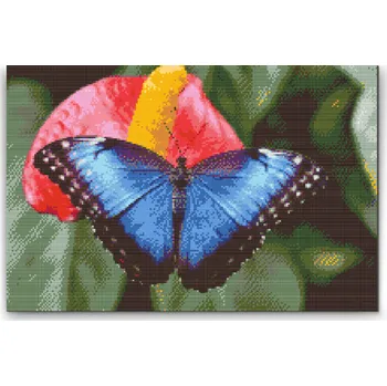 Diamantové malování Diamantové malování - Motýl na červeném květu Velikost: 40x60cm, Rámování: Pouze srolované plátno, Diamanty: Kulaté
