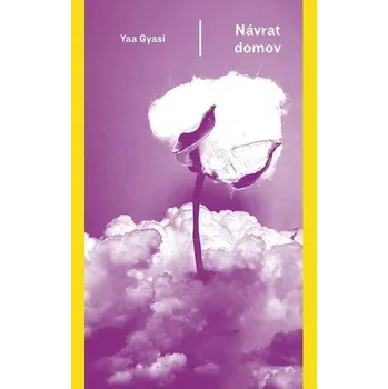 Kniha Návrat domov - Yaa Gyasi (E-Kniha)