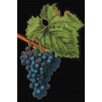 Diamantové malování Diamantové malování - Vintage hrozny Velikost: 40x60cm, Rámování: Pouze srolované plátno, Diamanty: Čtvercové