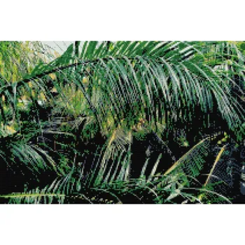 Diamantové malování Diamantové malování - Palmové listy Velikost: 40x60cm, Rámování: Pouze srolované plátno, Diamanty: Čtvercové